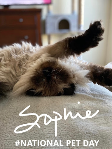 Insurance Agency «Kathleen Alexander - State Farm Insurance Agent», reviews and photos