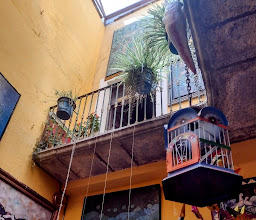 El Mezcalito Beer & Wings photo