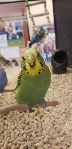 Shopping Mall «Brookside Plaza», reviews and photos, 10-38 Hazard Ave, Enfield, CT 06082, USA