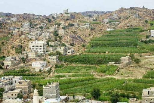 Coffee Shop «Starbucks», reviews and photos, 6768 95th St, Oak Lawn, IL 60453, USA