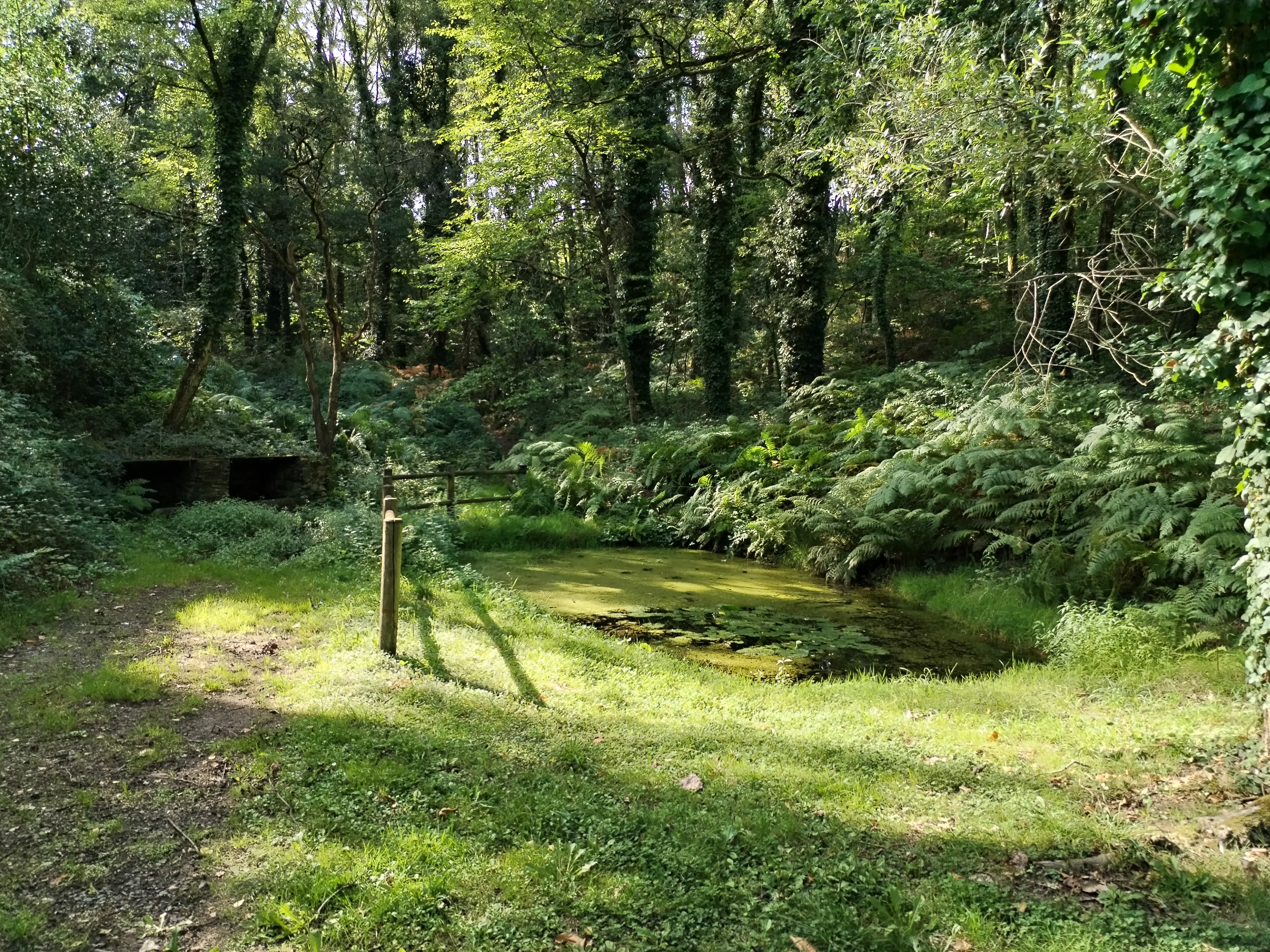 Photo n° 4 de l'avis de Marie-Christine.a fait le 17/08/2023 à 16:53