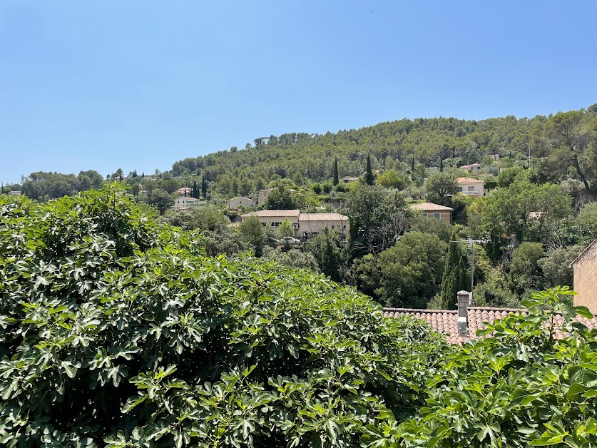 Picotte Provence à Cotignac