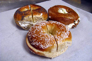 St. Pete Bagel Co.