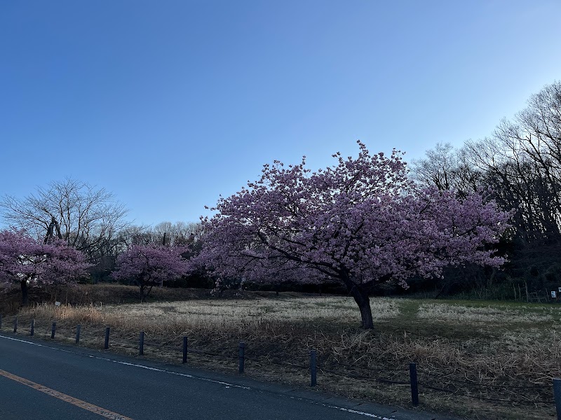 勝坂歴史公園