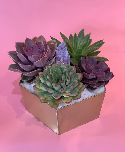 Florist «Genesee Florist», reviews and photos, 7756 Starling Dr, San Diego, CA 92123, USA