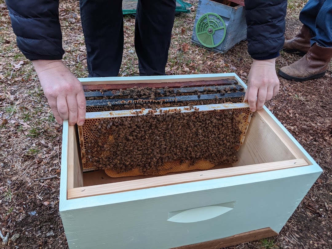 B Line Apiaries