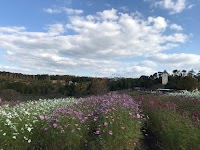 ハーベストの丘 キッチンハウス