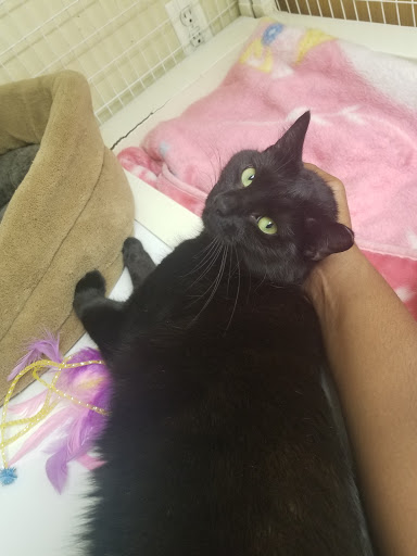 Pet Supply Store «Petco Animal Supplies», reviews and photos, 806 Sunrise Hwy, Baldwin, NY 11510, USA