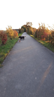 Véloroute De La Mémoire à Rivière