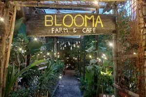 Blooma Farm House image