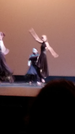 Performing Arts Theater «Shenandoah Summer Music Theatre», reviews and photos, 1460 University Dr, Winchester, VA 22601, USA