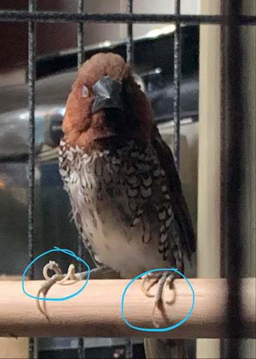 Pet Supply Store «Pet Supplies Plus», reviews and photos, 5708 State St, Saginaw, MI 48603, USA