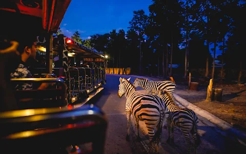 Chiang Mai Night Safari image