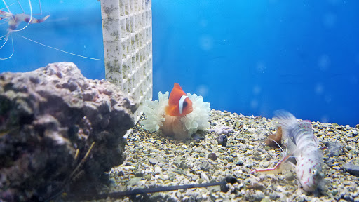 Pet Supply Store «Petco Animal Supplies», reviews and photos, 2575 Fairview Ave N, Roseville, MN 55113, USA