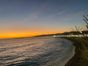 Photo n°23 de Le Patio Restaurant & Terrasse à Nice ()
