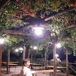 Photo n°23 de l'avis de ELENA.A fait le 26/06/2022 à 19:31 sur le  La dispensa à Lamporecchio