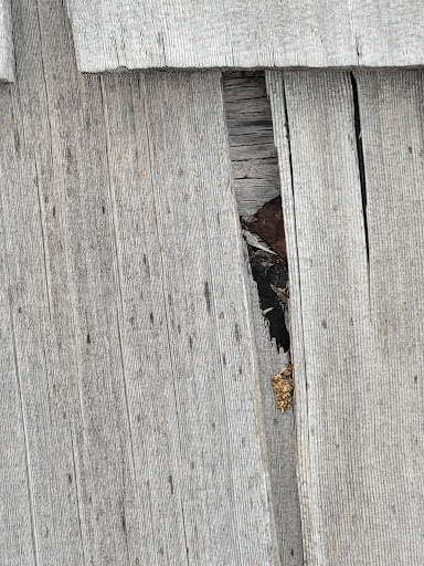 Roofing Contractor «Truett Roofing», reviews and photos, 210 S Pattie St, Wichita, KS 67211, USA