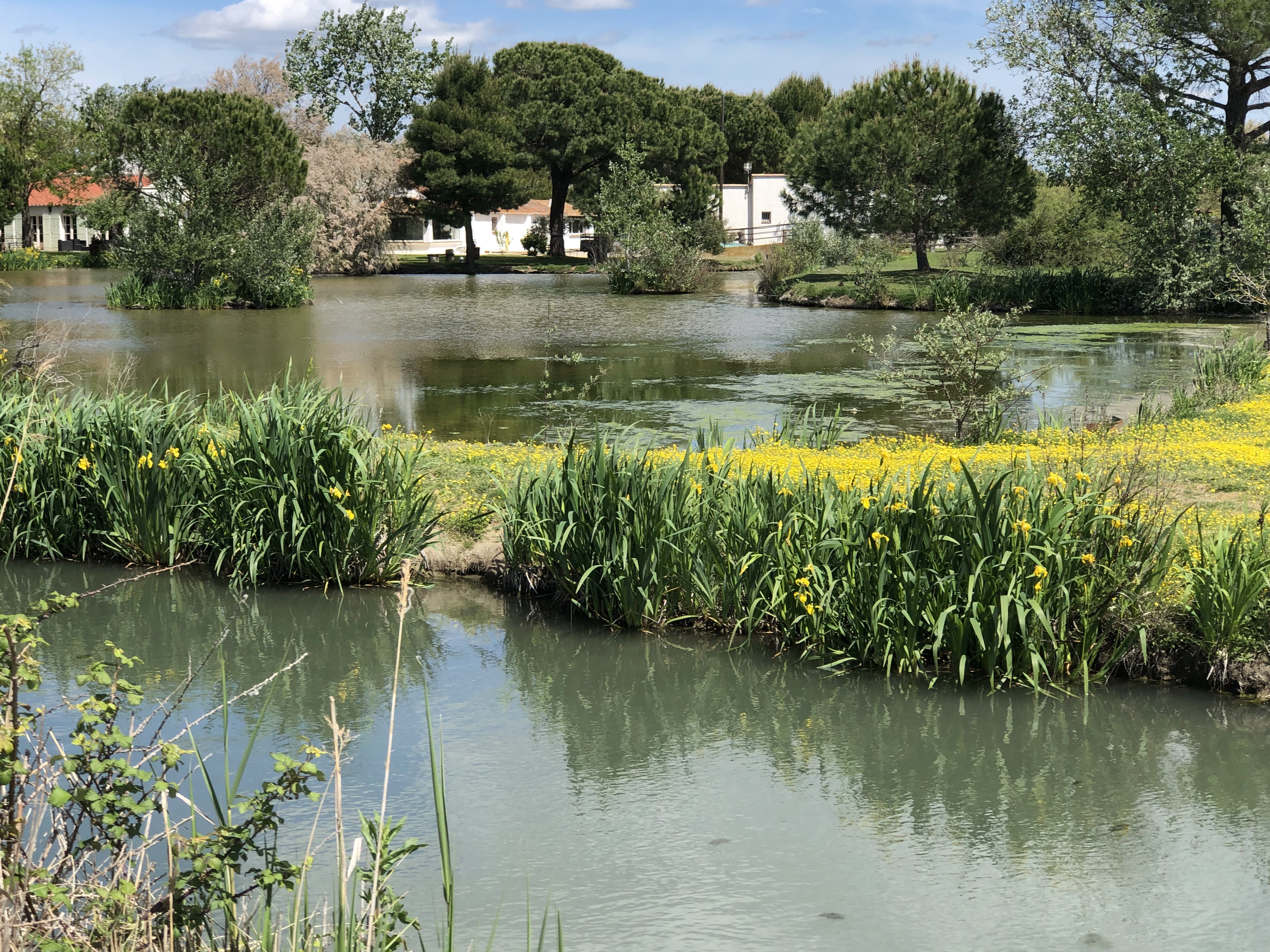 Photo n° 7 de l'avis de Christophe.e fait le 30/04/2019 à 17:51