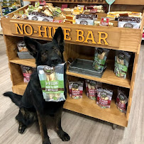 Earth Animal Flagship Store - Photo 1 - Car repair in Westport, CT, Bridgeport