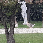 Photo n°10 de l'avis de Francesco.a fait le 15/10/2023 à 19:40 sur le  Antica Trattoria Gianna à Voltido