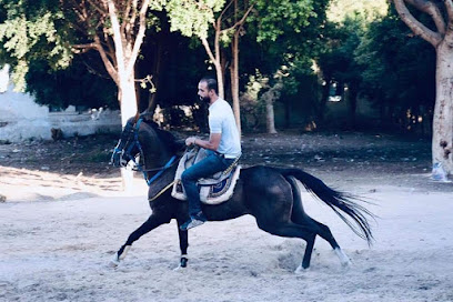 الحصان الأسود Black Horse تعليم ركوب الخيل