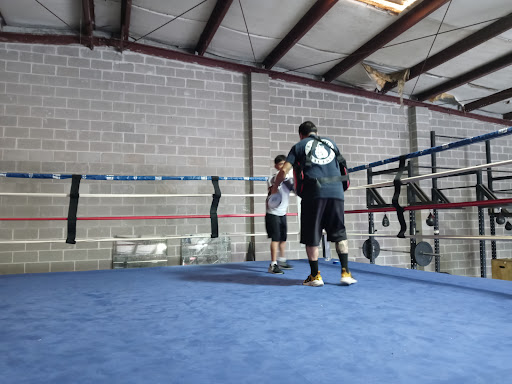 Boxing Gym «The Knockout Factory», reviews and photos, 5601 Navigation Blvd, Houston, TX 77011, USA