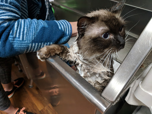 Pet Supply Store «Pet Valu», reviews and photos, 40845 Merchants Ln #100, Leonardtown, MD 20650, USA