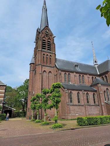 Beoordelingen van Boomkwekerij De Moer in Eindhoven - Bloemist