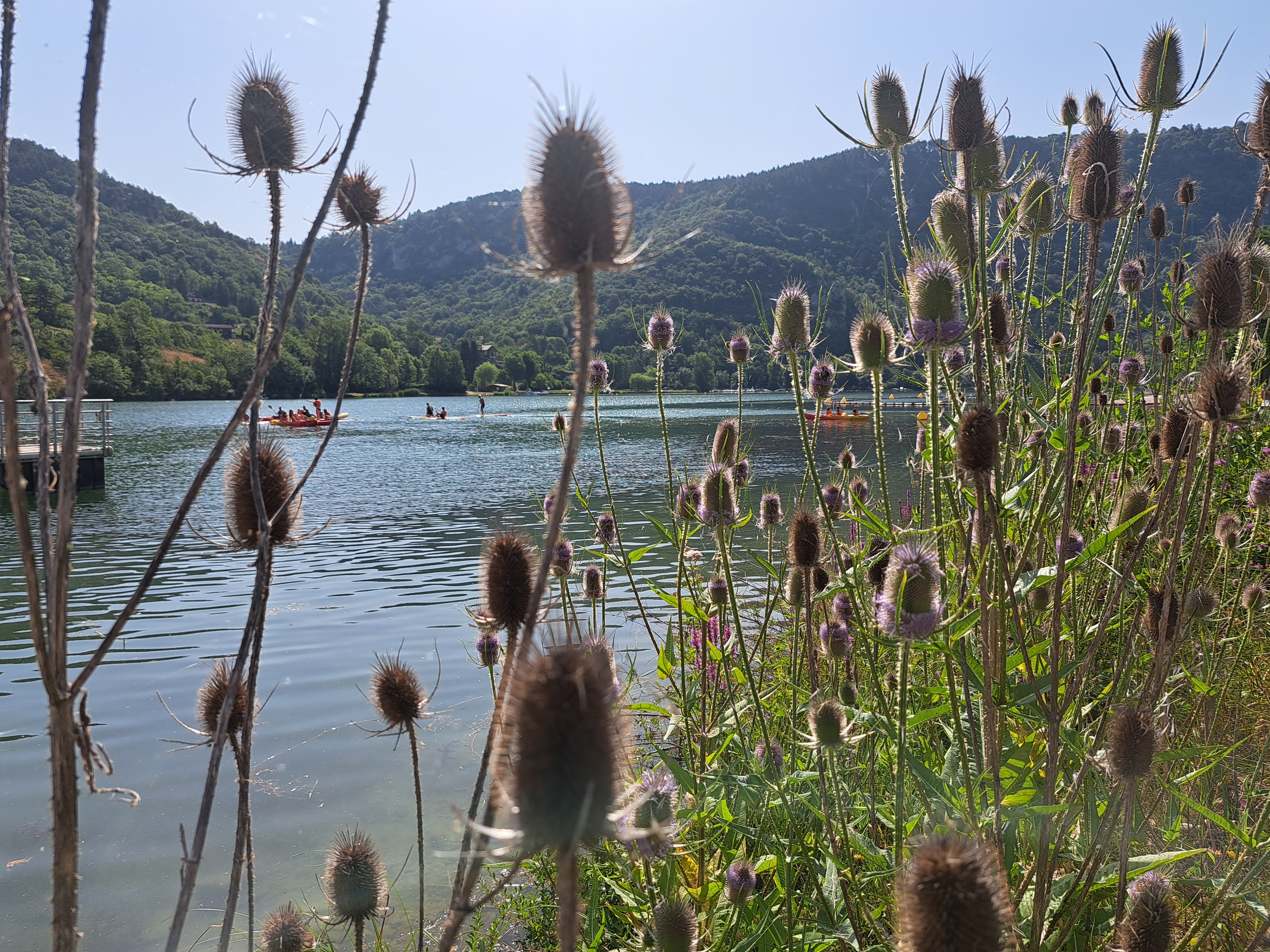 Photo n° 1 de l'avis de franck. fait le 19/07/2023 à 10:10