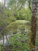 Arboretum du Chêne-Vert Chabanais