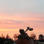 Photo n°14 de l'avis de Daniela.a fait le 07/01/2017 à 22:32 sur le  Hapimag Resort Cefalù à Mazzaforno