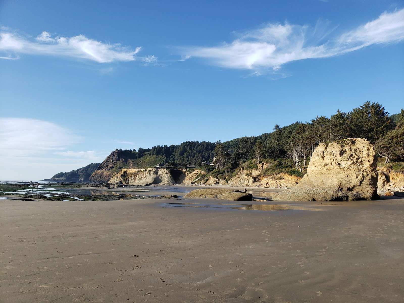Photo of Otter Crest Beach with very clean level of cleanliness