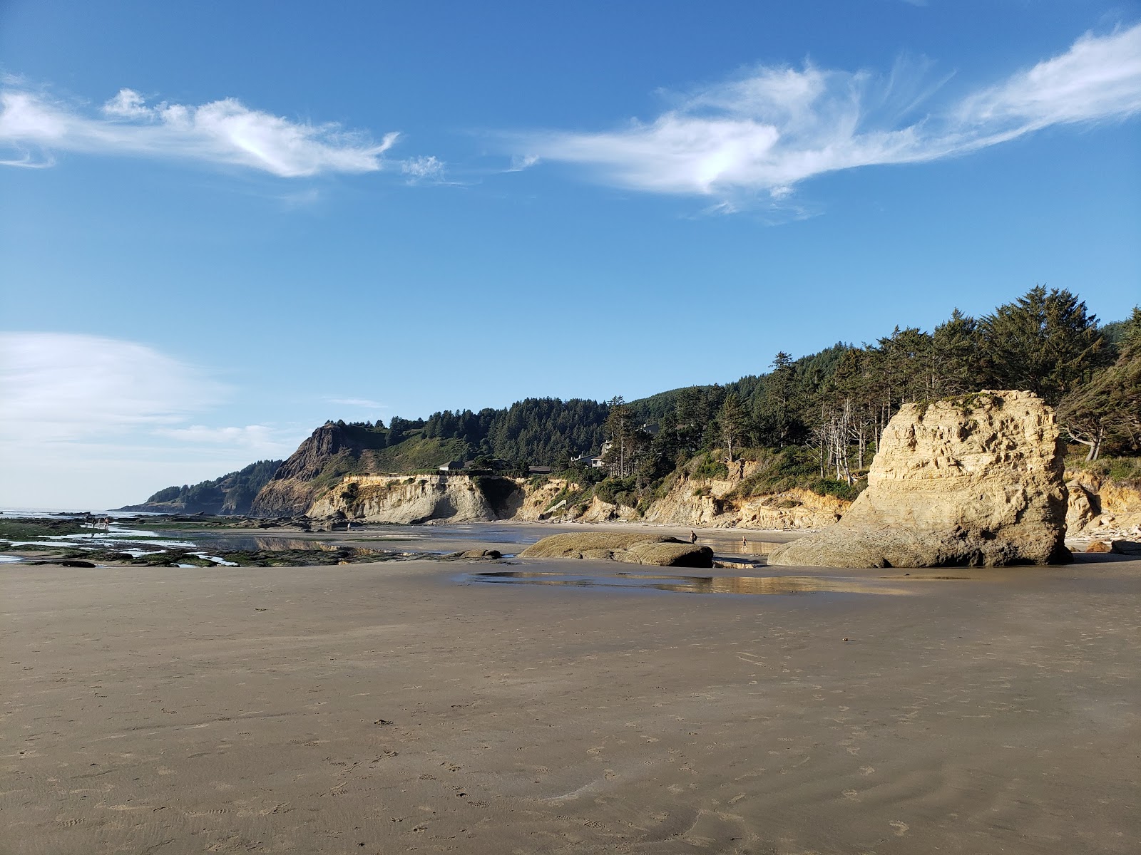 Otter Crest Beach'in fotoğrafı imkanlar alanı