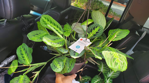 Home Improvement Store «The Home Depot», reviews and photos, 20 Gateway Village Rd, Bluffton, SC 29910, USA