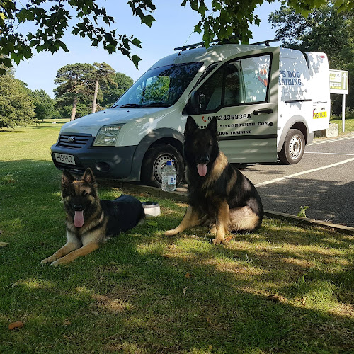 Ry's Dog Training - Newport