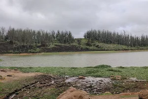 Lake view point at Pine forest image