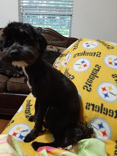 Pet Supply Store «PetSmart», reviews and photos, 1591 Bradley Park Dr, Columbus, GA 31904, USA