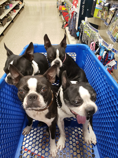 Pet Supply Store «PetSmart», reviews and photos, 815 McDermott Street, Council Bluffs, IA 51501, USA