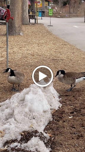 Zoo «Monkey Island», reviews and photos, 8 E 23rd Ave, Denver, CO 80205, USA