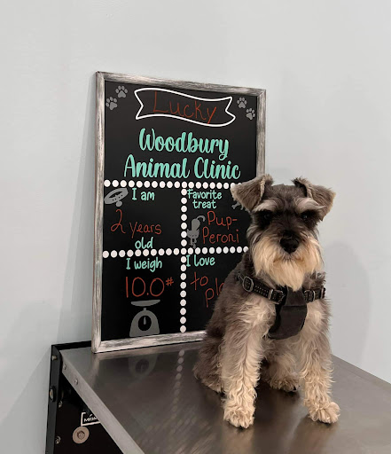 Woodbury Animal Clinic image
