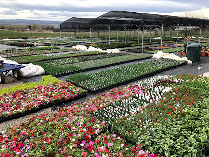 Lost Mesa Flower Company