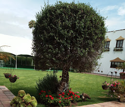 Hacienda de San Ángel Restaurante photo