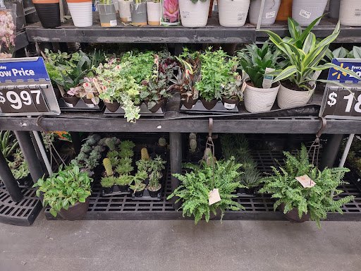 Department Store «Walmart Supercenter», reviews and photos, 10562 Belleville Rd, Belleville, MI 48111, USA