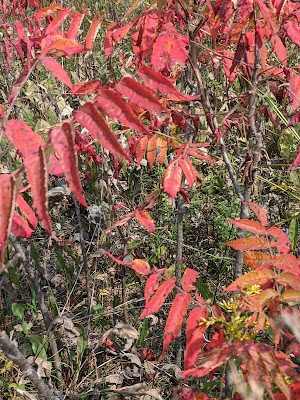 Purgatory Park - photo 26
