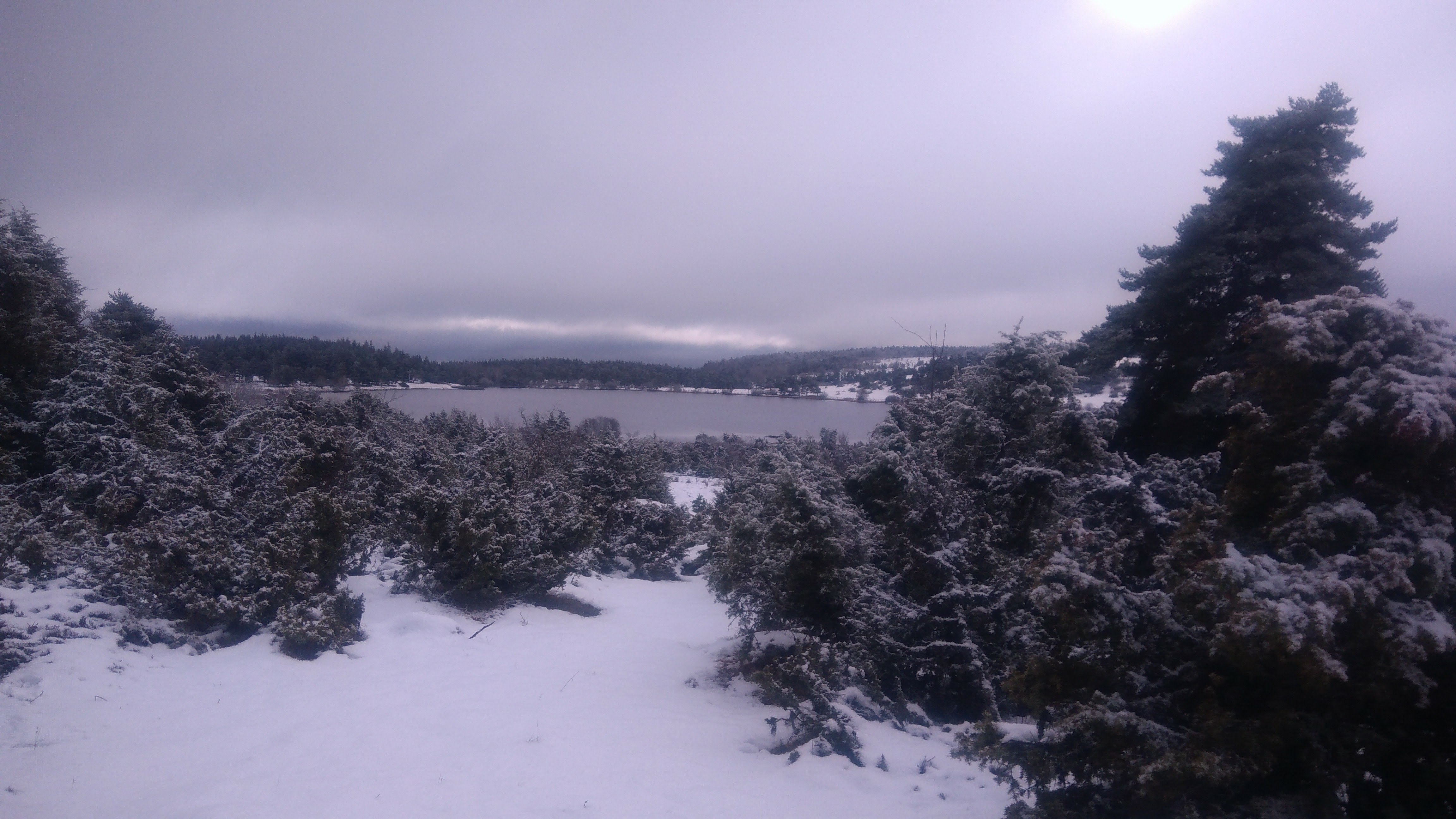 Photo n° 1 de l'avis de Fabienne.e fait le 11/03/2018 à 06:59