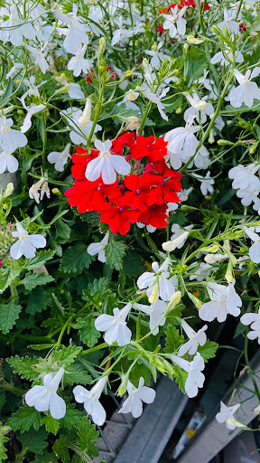 Home Improvement Store «The Home Depot», reviews and photos, 3051 E Main St, Mohegan Lake, NY 10547, USA