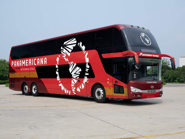 Transportes Panamericana Internacional - Servicio de transporte