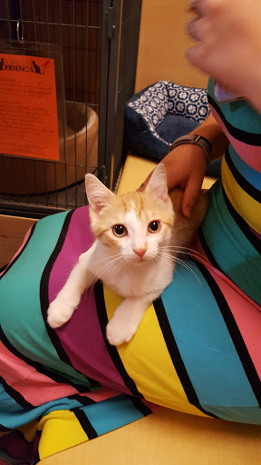 Pet Supply Store «PetSmart», reviews and photos, 2000 Clements Bridge Rd, Woodbury, NJ 08096, USA