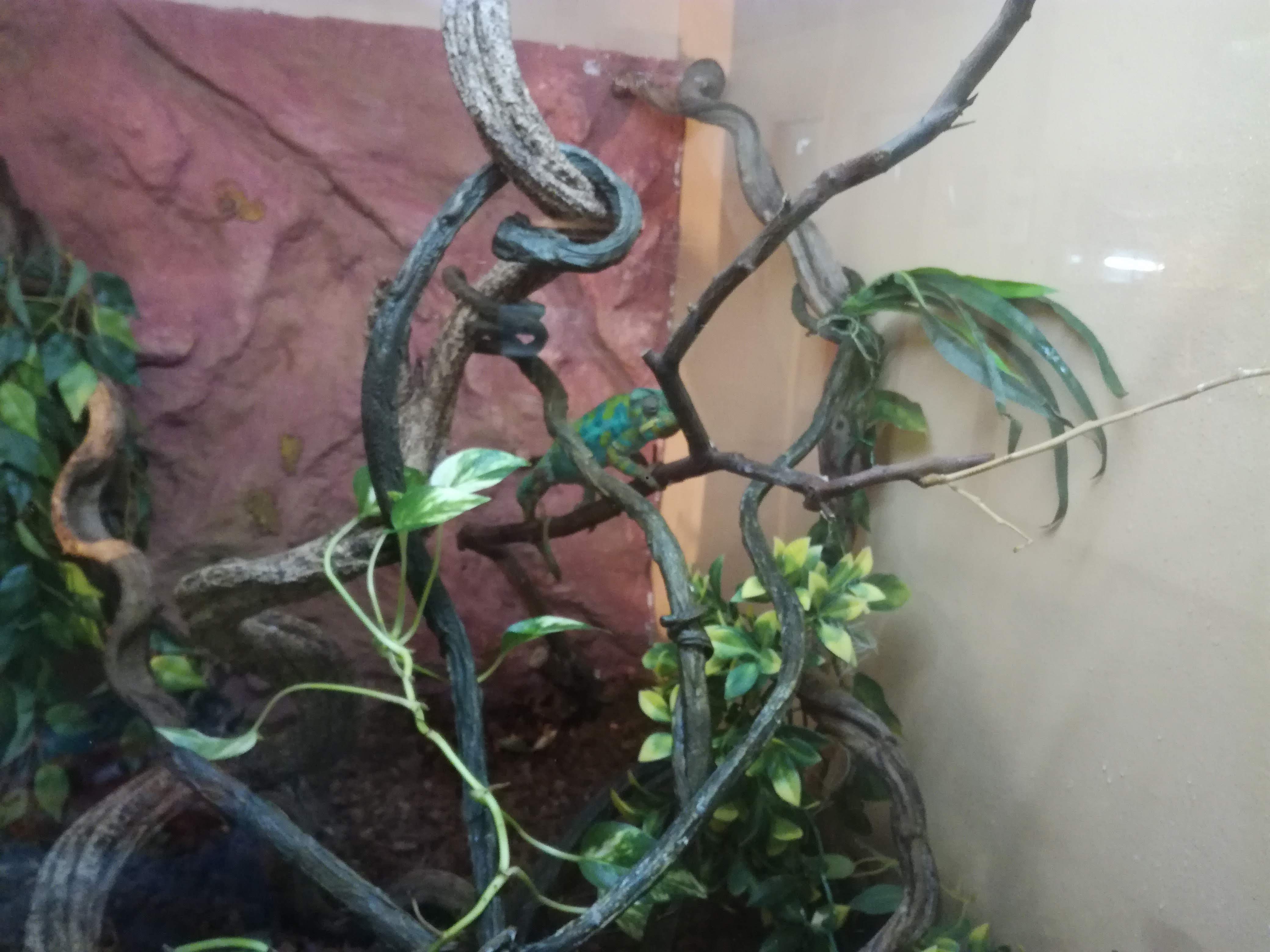 Photo n° 3 de l'avis de Ghis.i fait le 12/06/2019 à 06:28