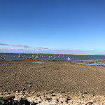 Photo n° 2 de l'avis de Jérôme.a fait le 27/07/2018 à 05:29 pour l'Océan à Fouras